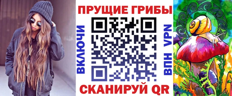как найти   omg рабочий сайт  Галлюциногенные грибы Psilocybine cubensis  Почеп 