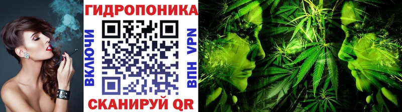 МАРИХУАНА OG Kush  купить наркоту  Почеп 